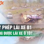 Bằng B1 không được lái xe ô tô từ 2025: Thông tin cần biết