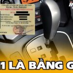 Bằng B11 là bằng gì? Tìm hiểu về bằng lái xe B11