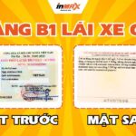 Bằng B1 lái xe gì? Giải đáp tất cả thắc mắc về GPLX B1