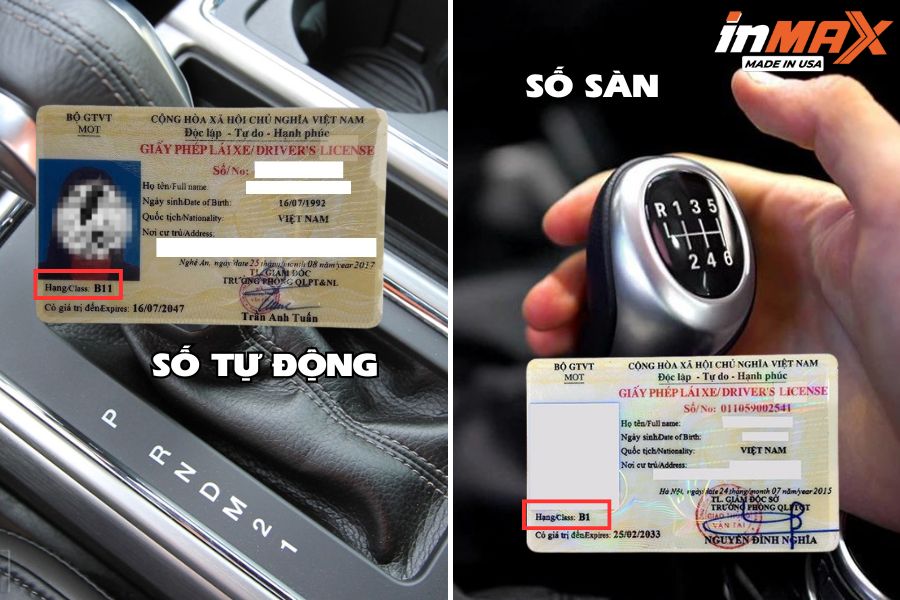 B11 là bằng gì? Khác gì so với bằng B1?