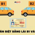 Bằng lái xe B1 và B2 có gì khác nhau? Nên học bằng nào?