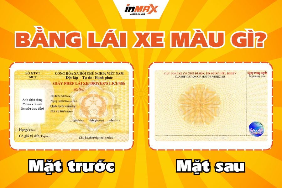 Bằng lái xe màu gì? Chi tiết về giấy phép lái xe hiện nay