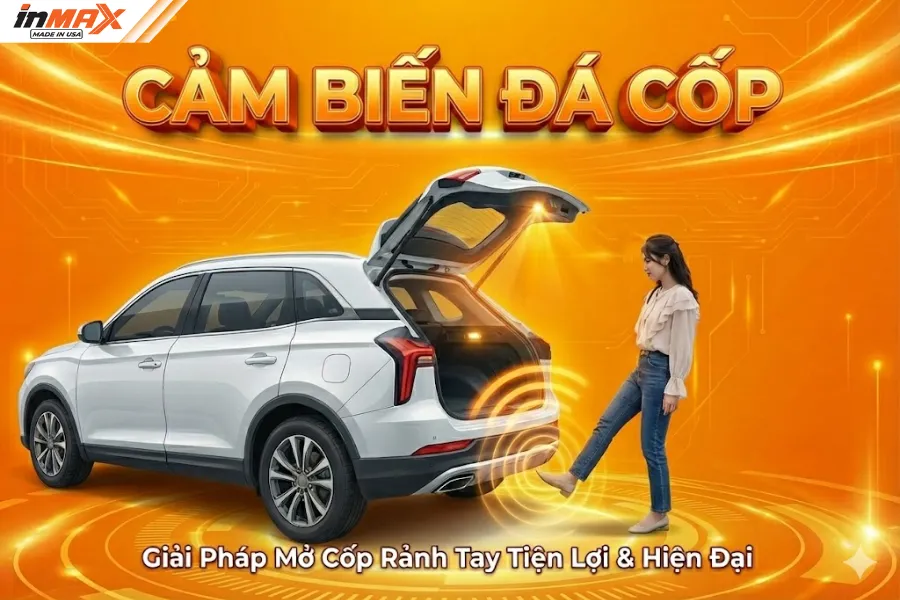 Cảm biến đá cốp