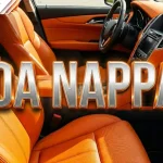 Da Nappa là gì? Giải pháp toàn diện bảo vệ da Nappa trong nội thất ô tô