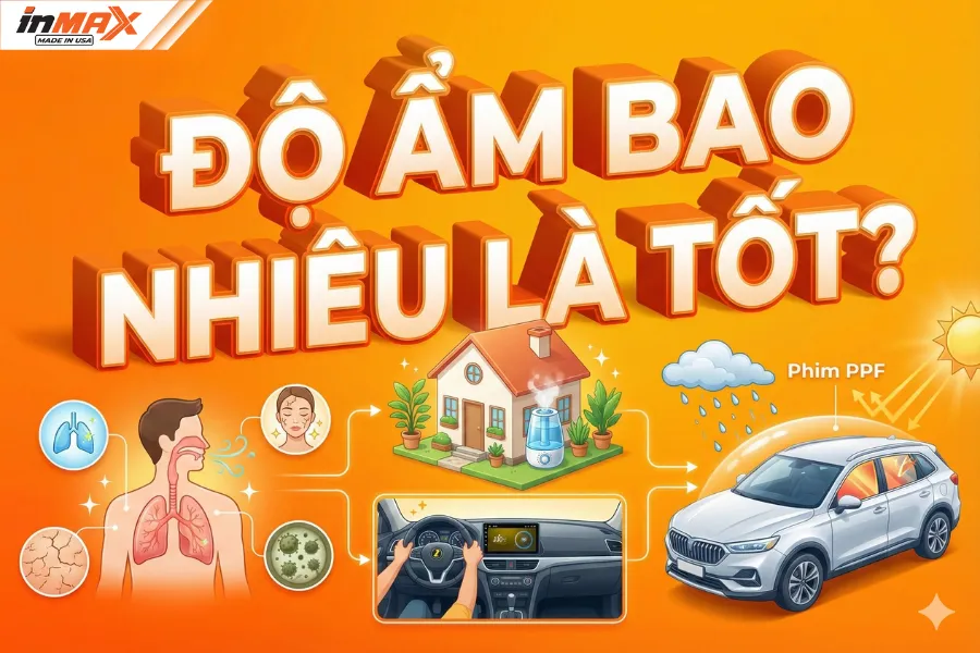 Độ ẩm bao nhiêu là tốt? Cách duy trì độ ẩm lý tưởng trong ô tô