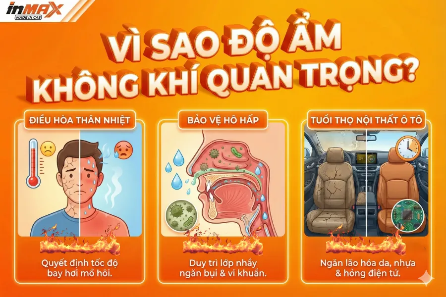 Độ ẩm khôn khí là gì? Vì sao nó quan trọng? Độ ẩm bao nhiêu là tốt?