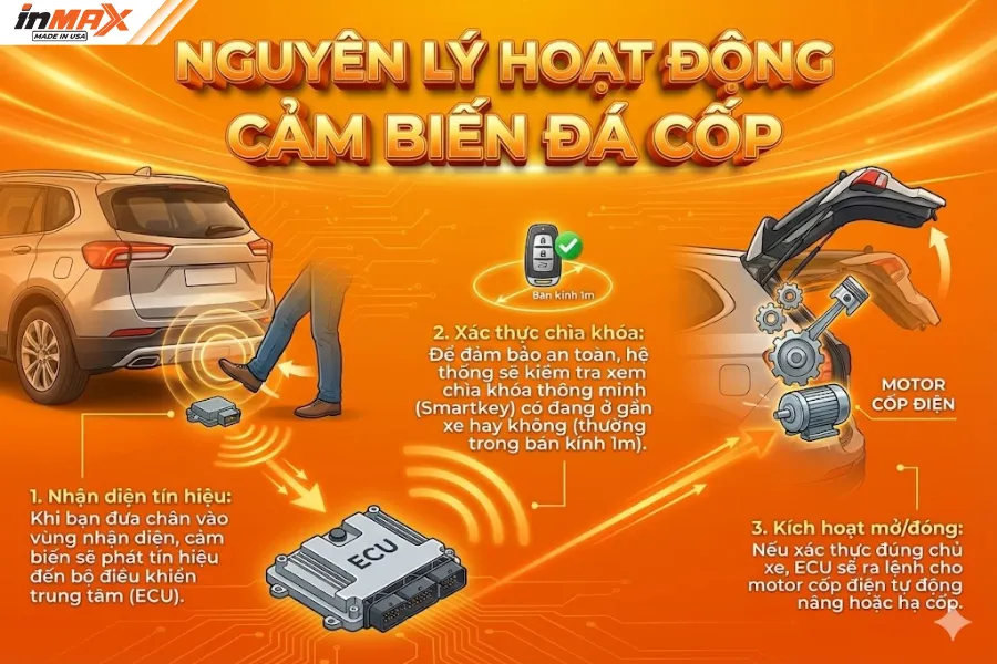 Nguyên lý hoạt động cảm biến đá cốp