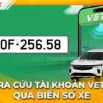 Cách tra cứu tài khoản VETC qua biển số xe nhanh chóng, dễ làm
