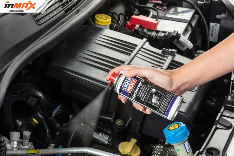 Sử dụng chai xịt chống chuột chuyên dụng