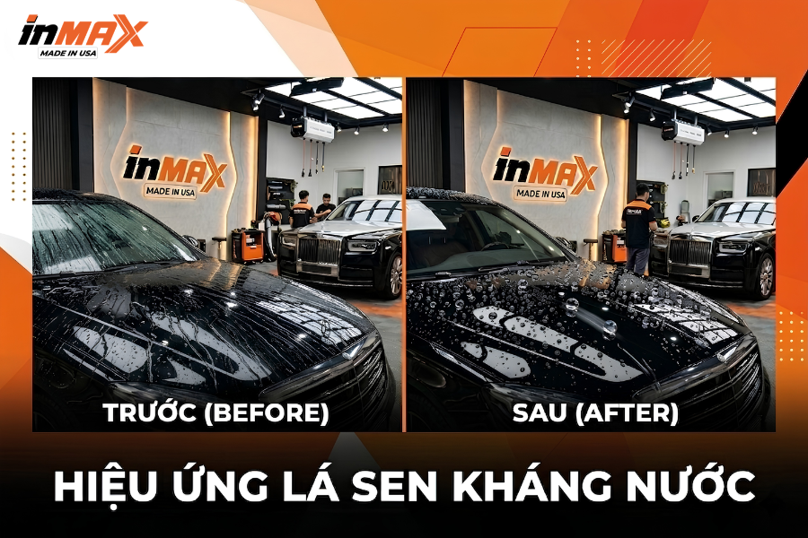 Hiệu ứng lá sen kháng nước (Hydrophobic)